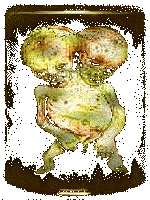 Specimen File